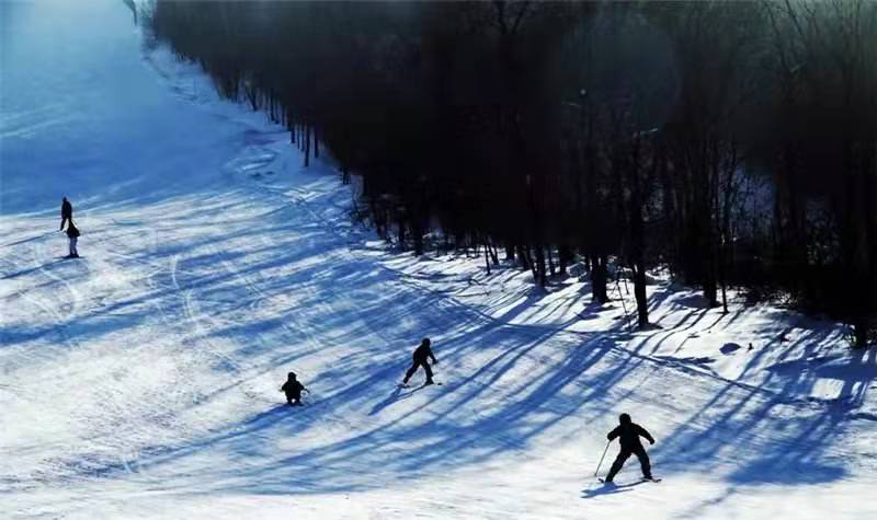黑龍江哈爾濱·帽兒山滑雪場(chǎng)選用天時(shí)同城文旅全渠道營銷數(shù)字化線上售票解決方案